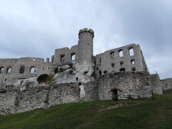 Rycerze wrócą pod mury Zamku Ogrodzieniec. Turniej już 22 i 23 sierpnia