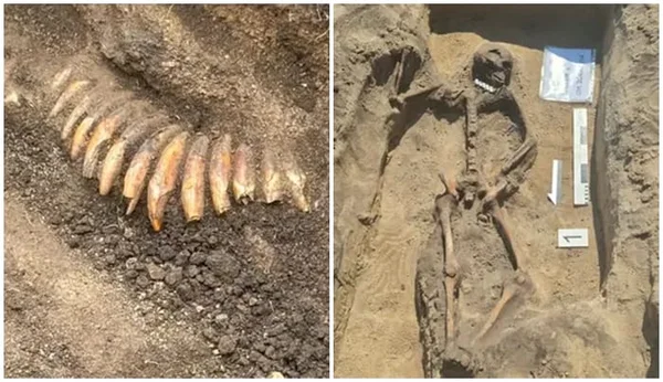 Naszyjnik z 42 zębów i dwie czaszki. Niezwykły grób sprzed 5 tysięcy lat odkryty pod Wrocławiem